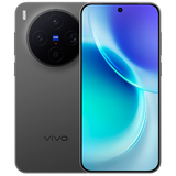 Vivo X300 (GLOBAL)